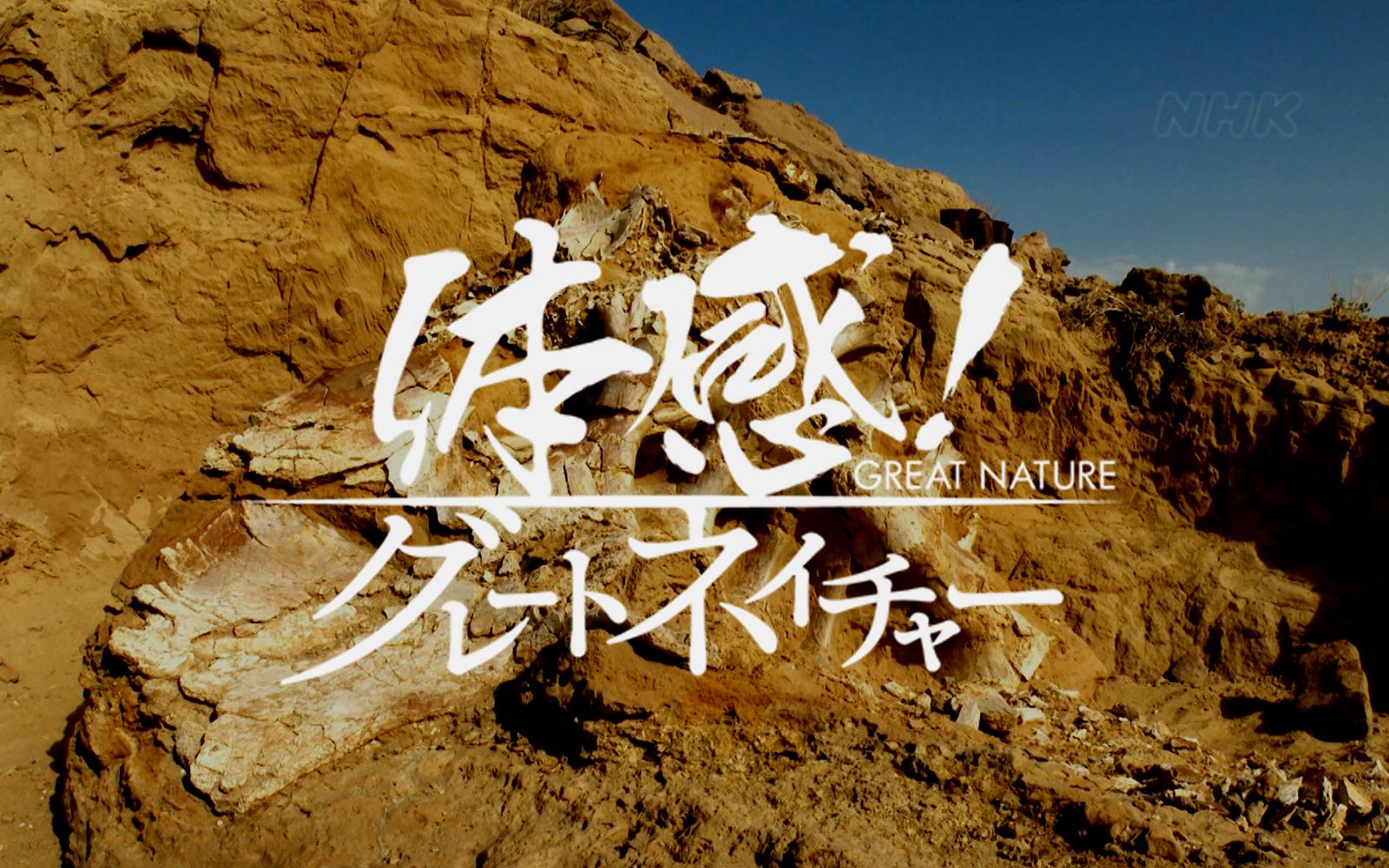 体感！グレートネイチャー「恐竜！モンゴル 化石の王国 誕生の秘密 ～ゴビ砂漠～」